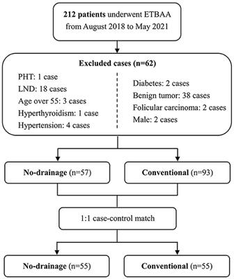 Drainage Tube Placement May Not Be Necessary During Endoscopic Thyroidectomy Bilateral Areola Approach: A Preliminary Report